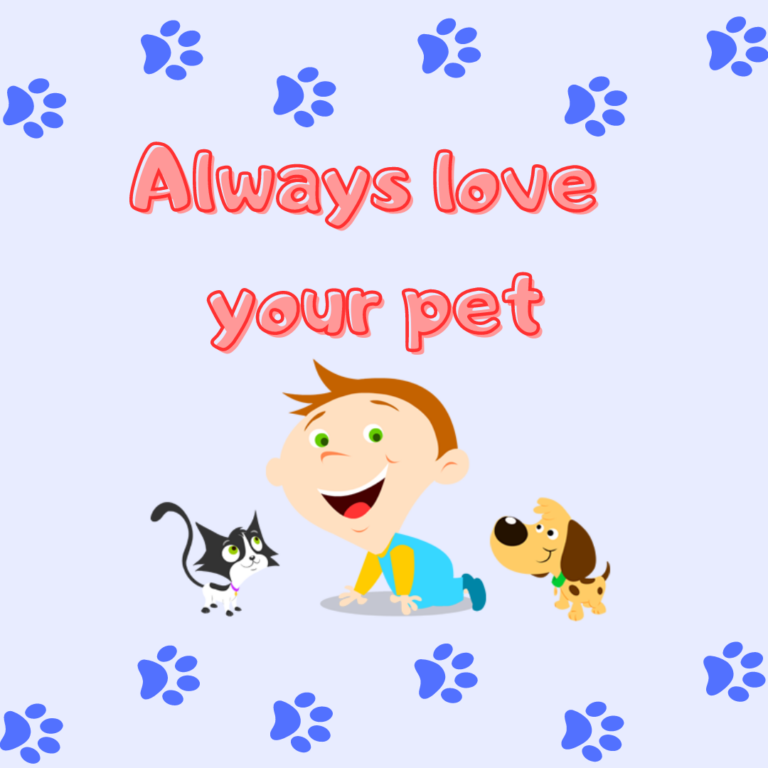 Always love your pet